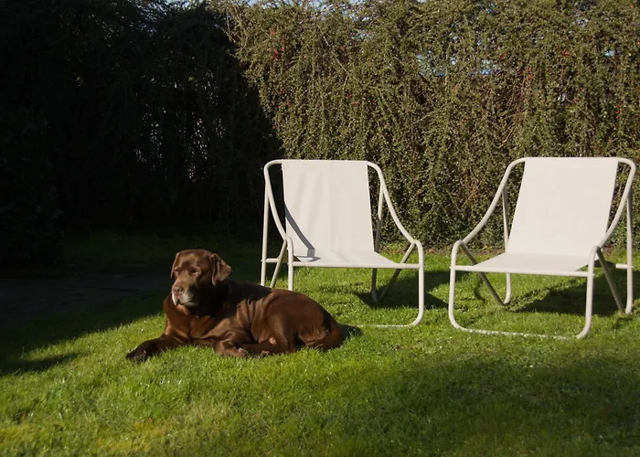 Weltevree Chalet Gendt